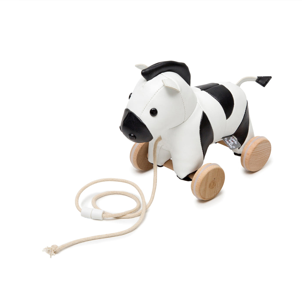 Pull-Along Animal Friends