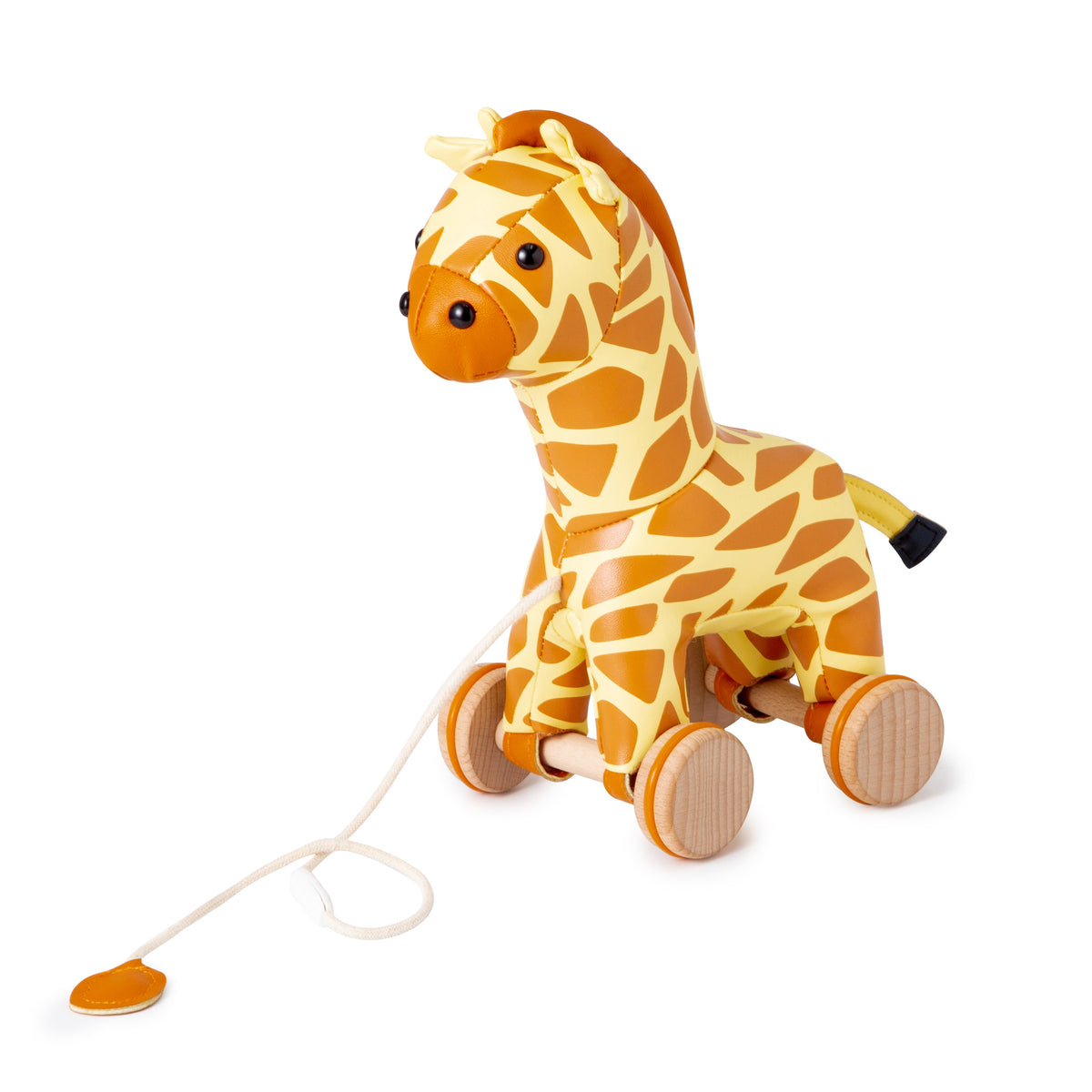 Pull-Along Animal Friends
