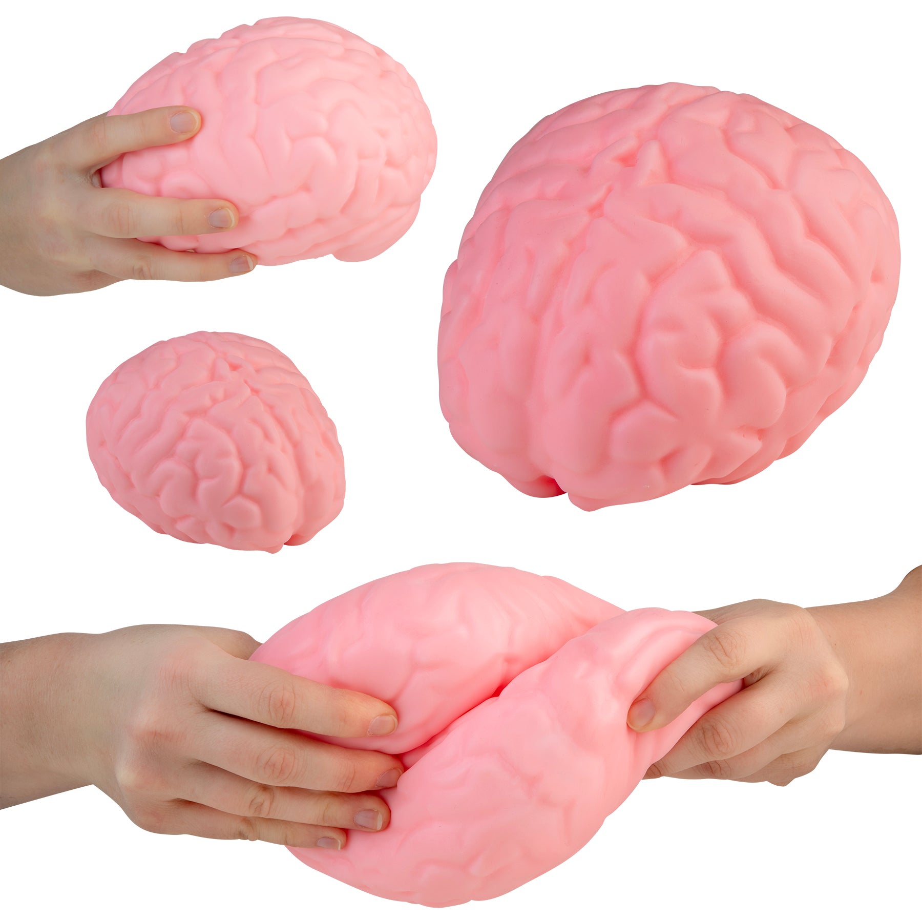 ORB Easy Sqweezy™ Jumbo Brainy – PREORDER